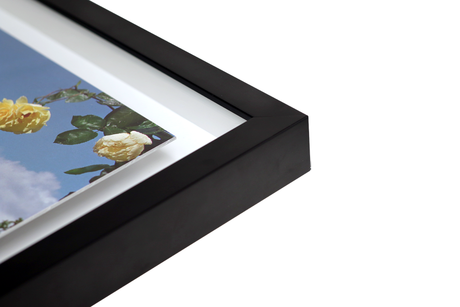 Elevate Your Artwork with Floating Frames